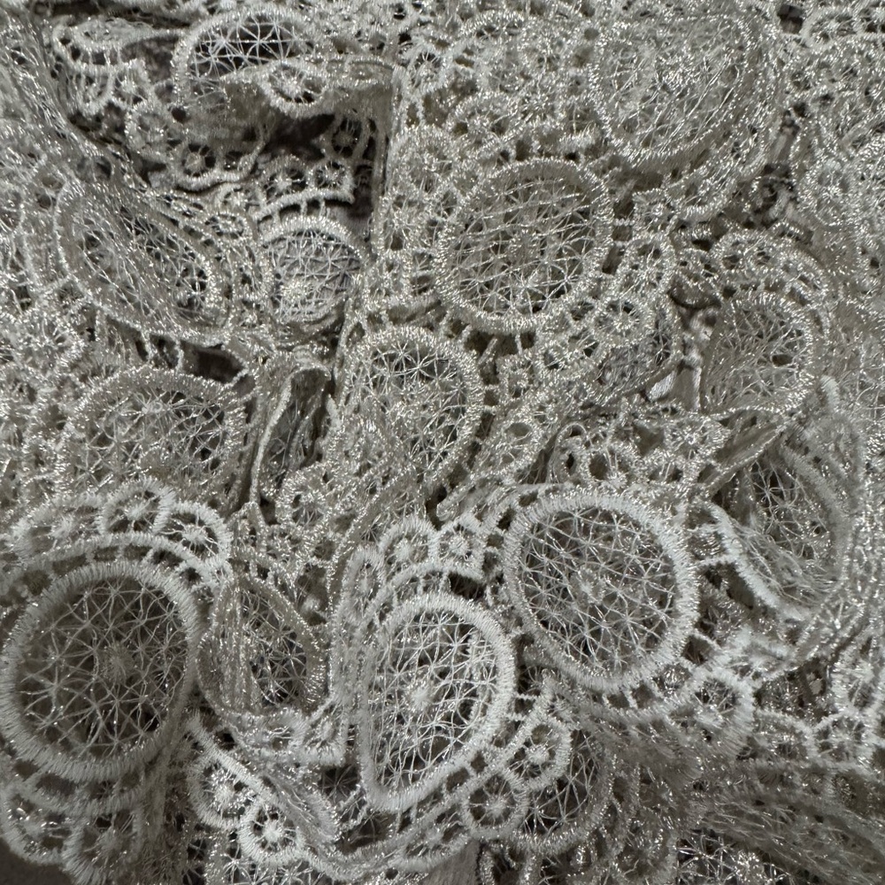 Elegant Silver Lace  Trim 7 yards